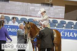 14r9_6032 proof