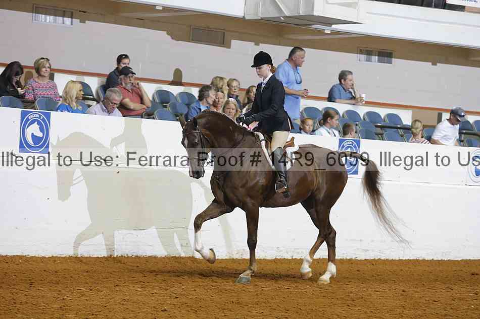 Proof 14r9_6059