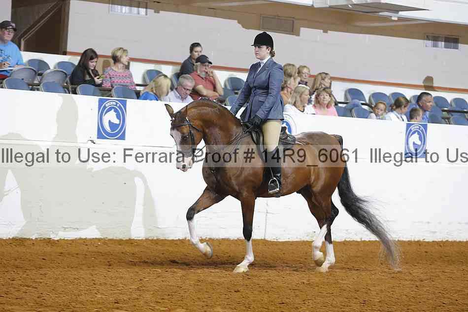 Proof 14r9_6061