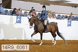 14r9_6061 proof