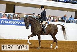 14r9_6074 proof