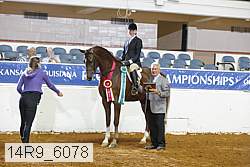 14r9_6078 proof