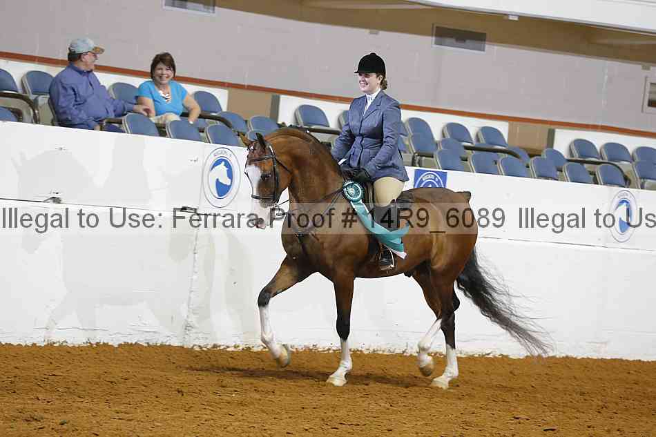 Proof 14r9_6089