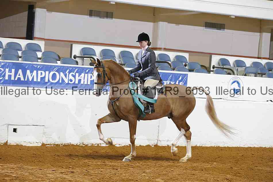 Proof 14r9_6093