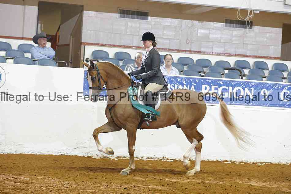 Proof 14r9_6094