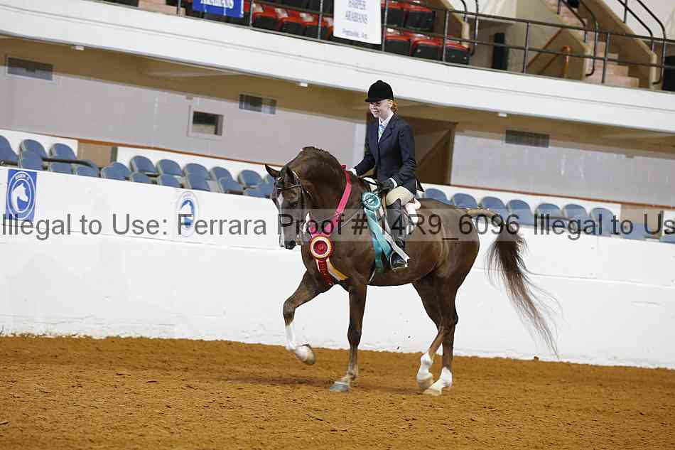 Proof 14r9_6096