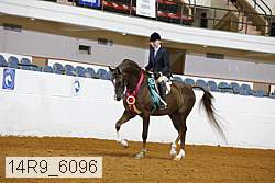 14r9_6096 proof