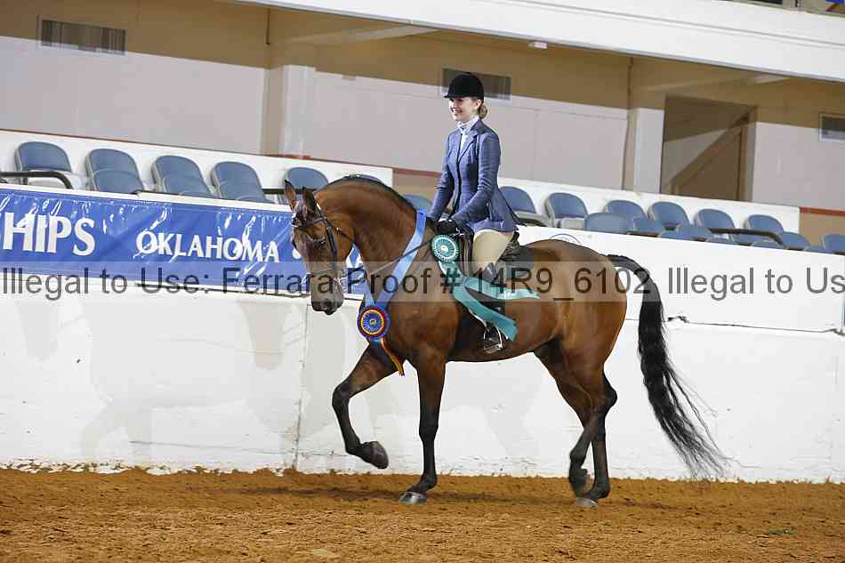 Proof 14r9_6102