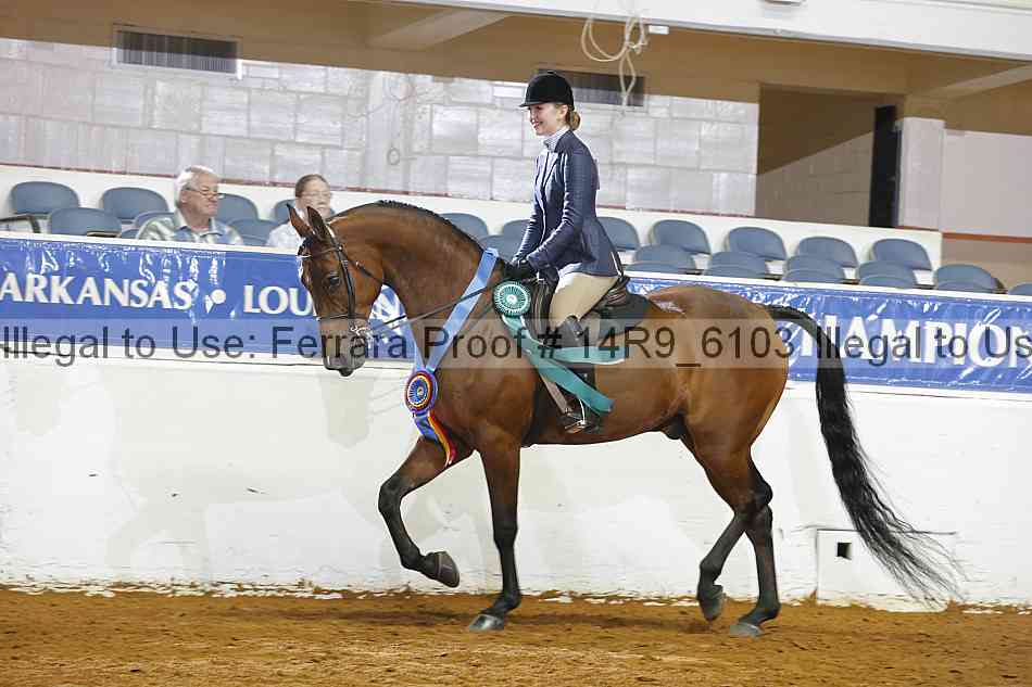 Proof 14r9_6103