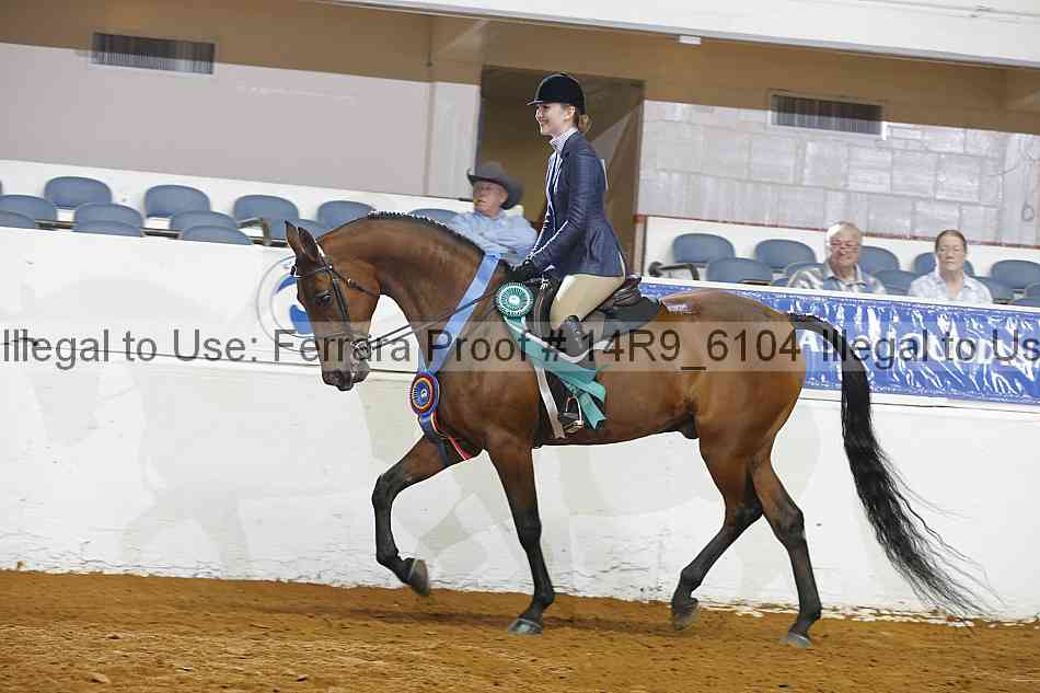 Proof 14r9_6104