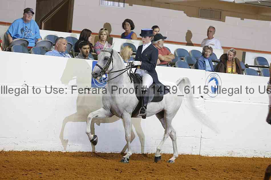 Proof 14r9_6115