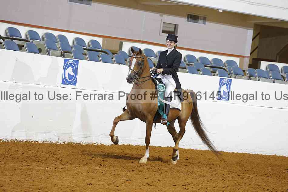 Proof 14r9_6145