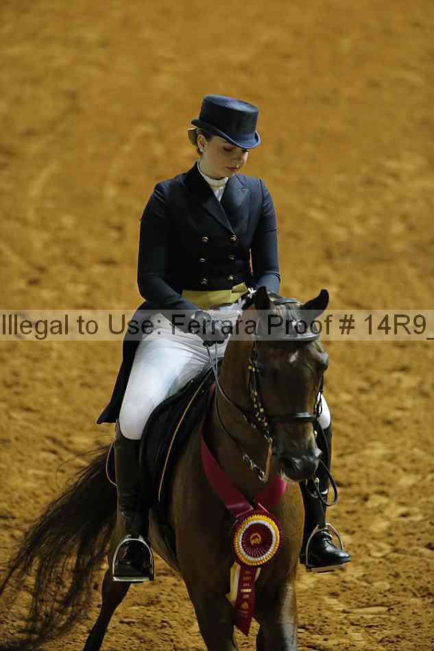 Proof 14r9_6154