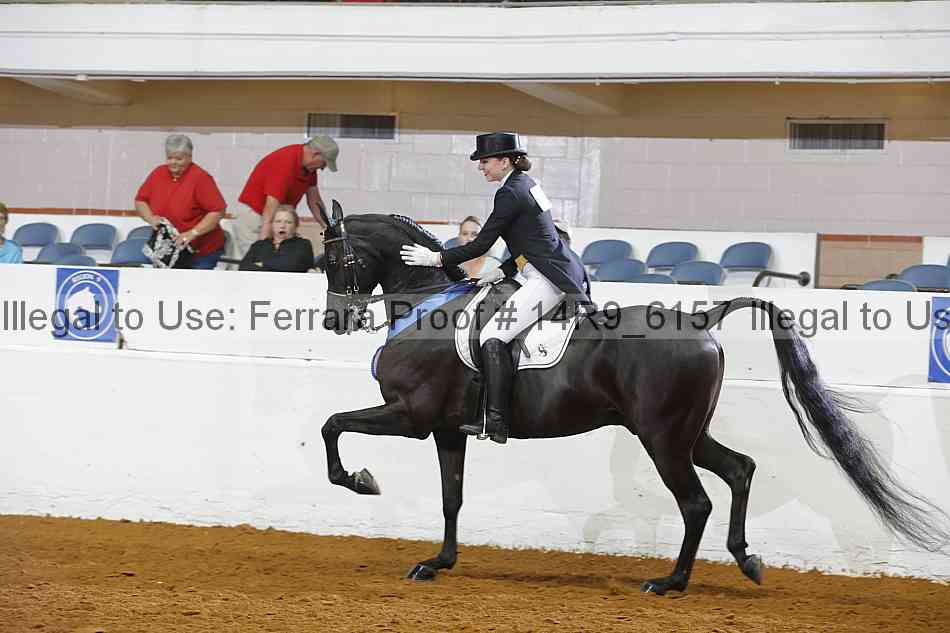 Proof 14r9_6157