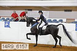 14r9_6157 proof