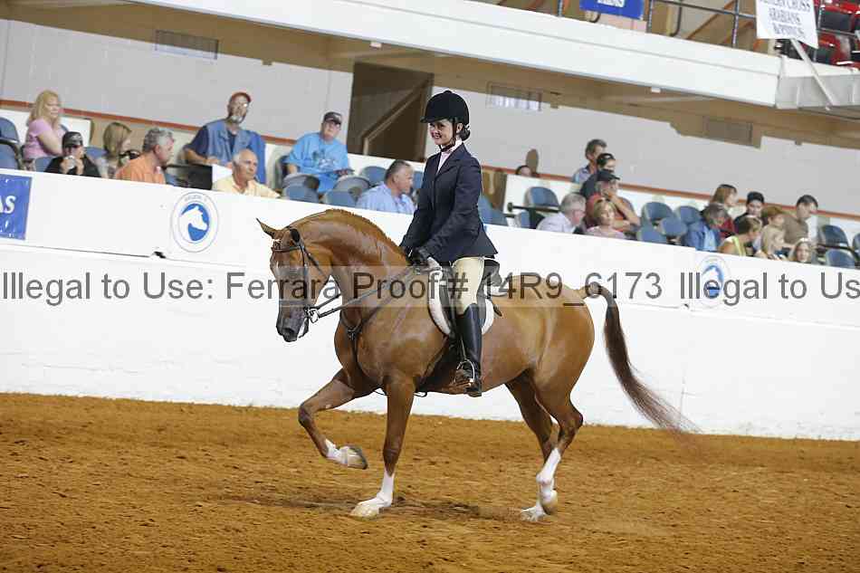 Proof 14r9_6173