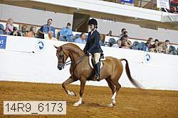 14r9_6173 proof