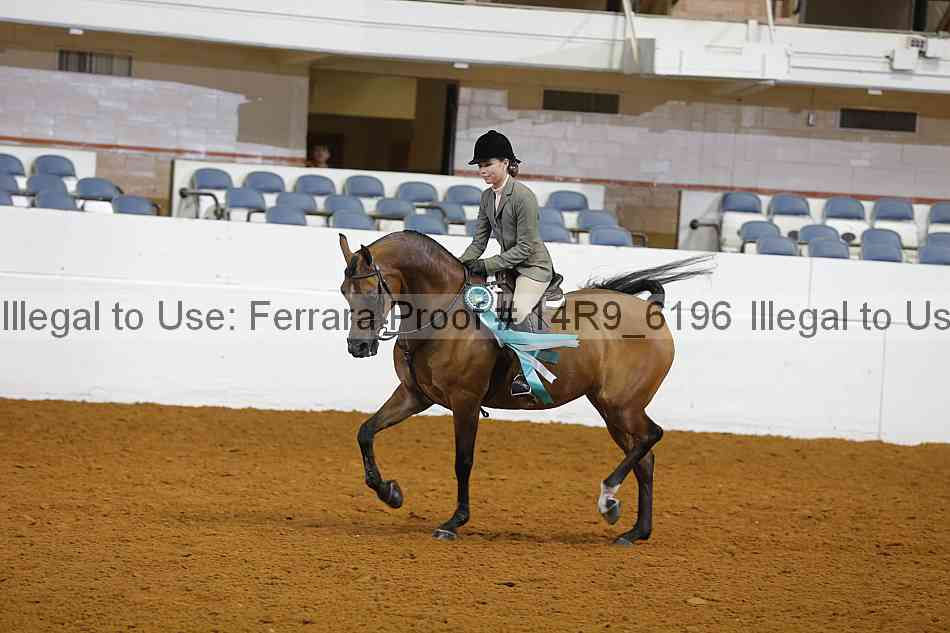 Proof 14r9_6196