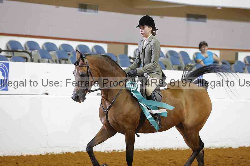 Proof 14r9_6197