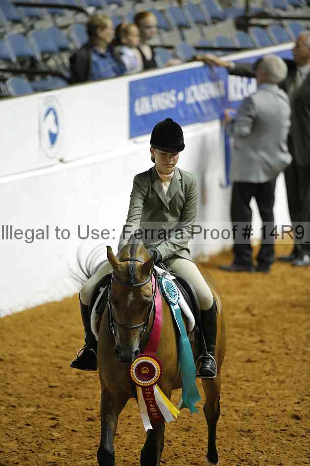 Proof 14r9_6203