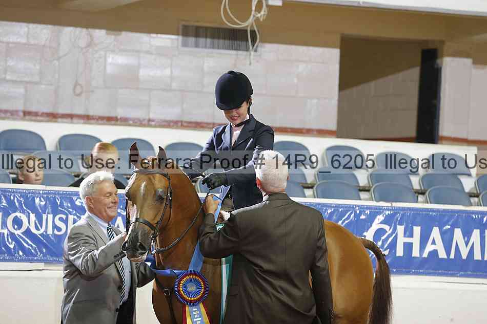 Proof 14r9_6205