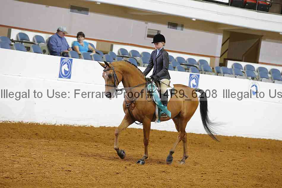 Proof 14r9_6208