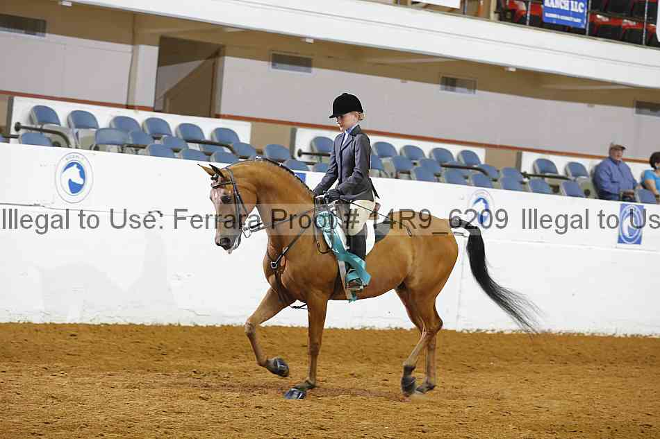 Proof 14r9_6209