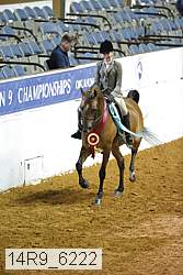 14r9_6222 proof