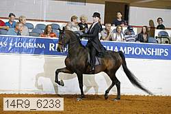 14r9_6238 proof