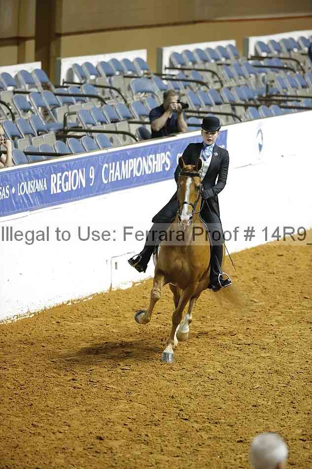 Proof 14r9_6239