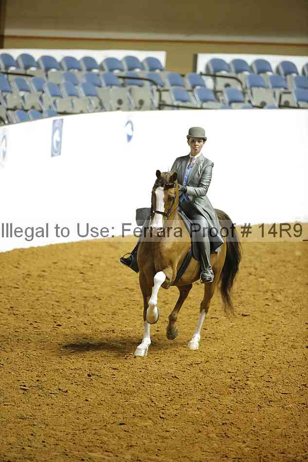 Proof 14r9_6245