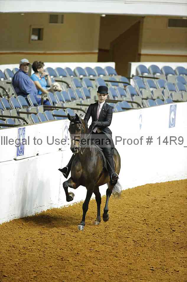 Proof 14r9_6248