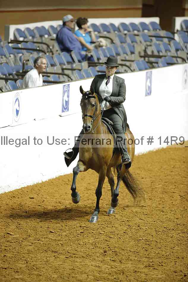Proof 14r9_6252
