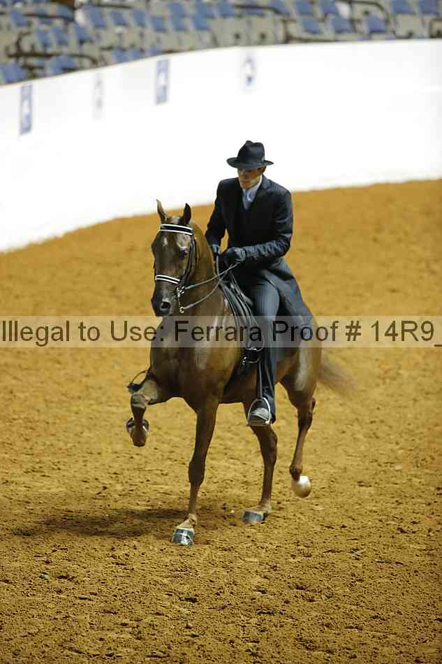 Proof 14r9_6254
