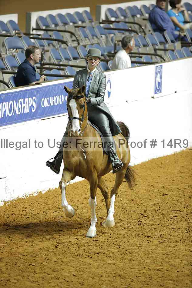 Proof 14r9_6256