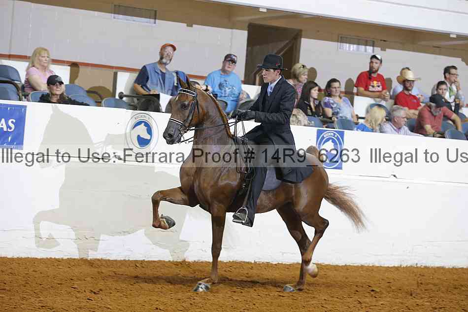 Proof 14r9_6263