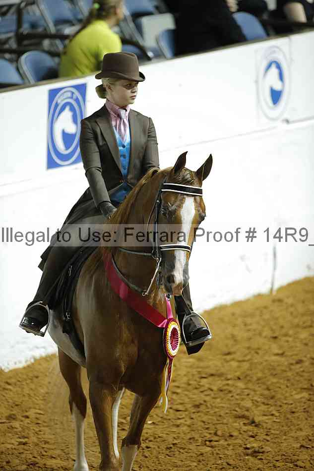 Proof 14r9_6267