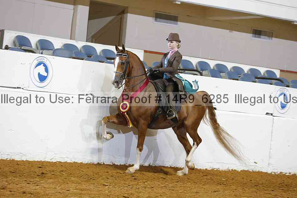 Proof 14r9_6285