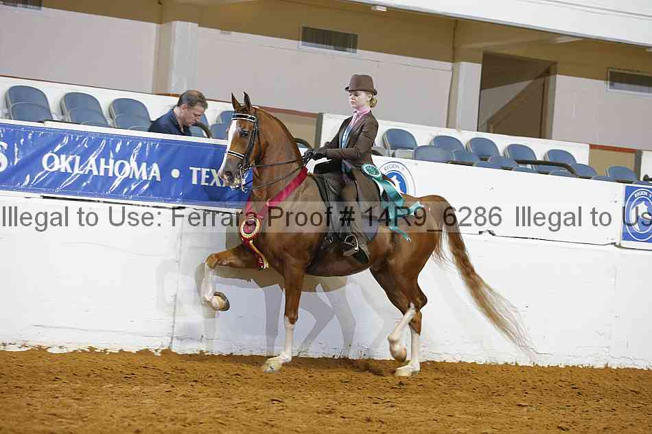 Proof 14r9_6286