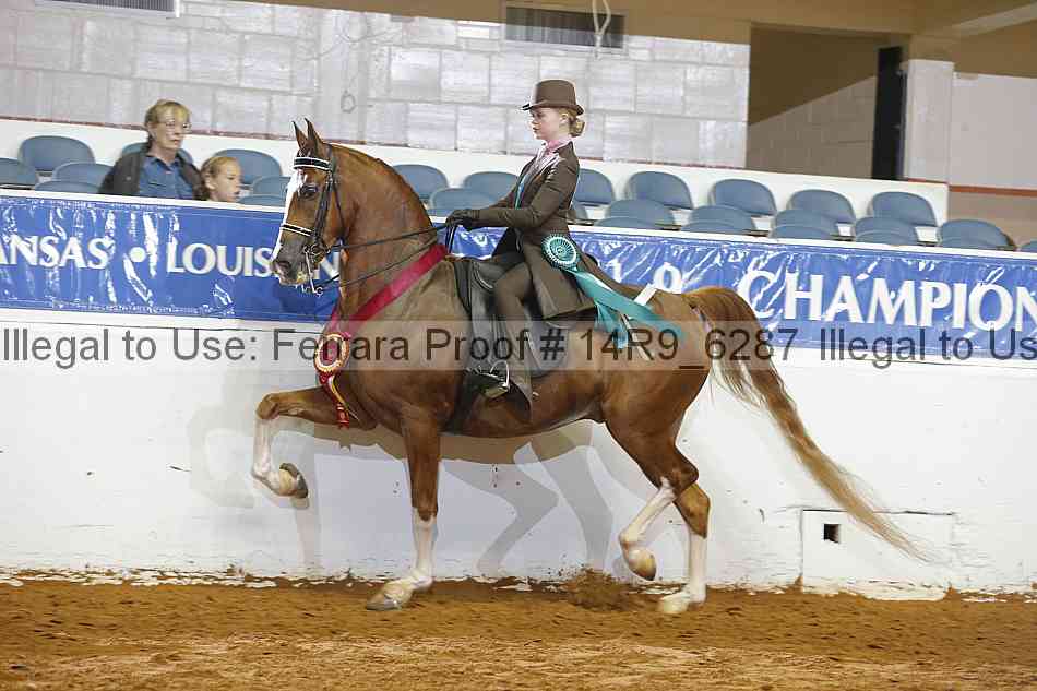 Proof 14r9_6287