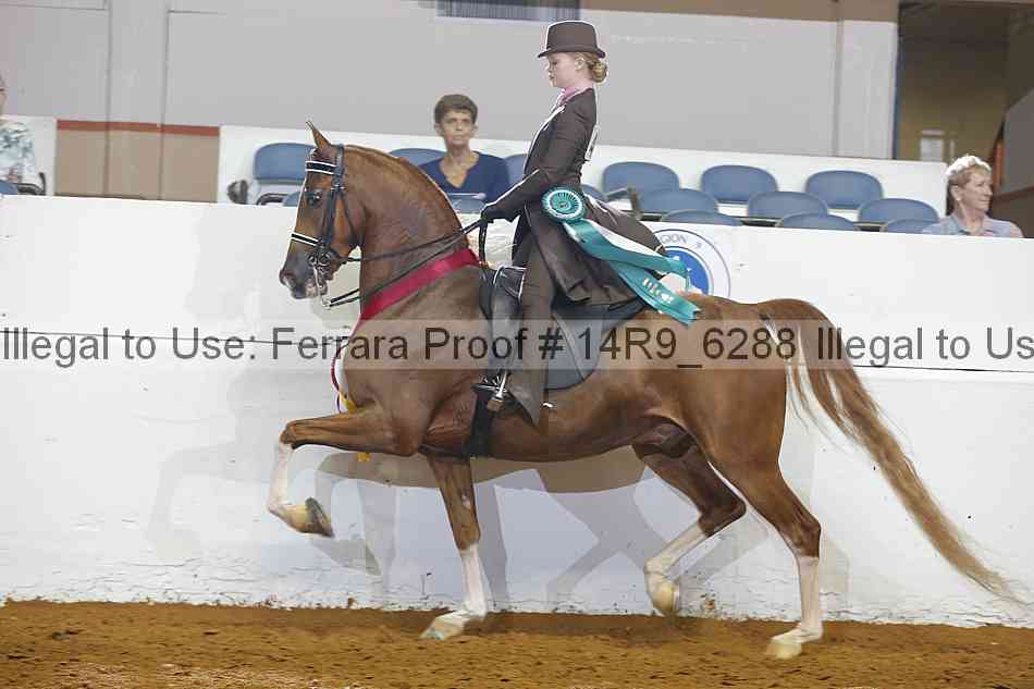 Proof 14r9_6288