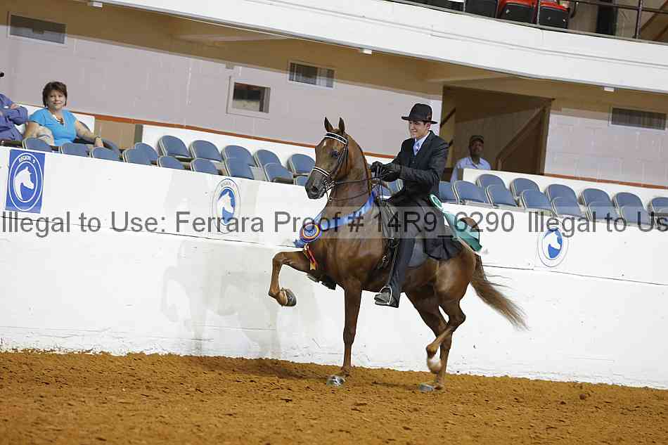 Proof 14r9_6290