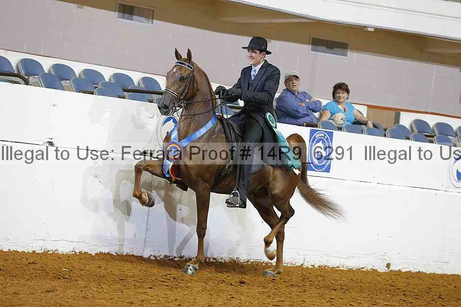 Proof 14r9_6291