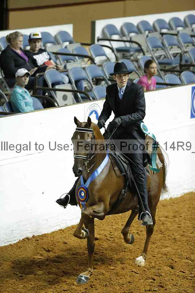 Proof 14r9_6293