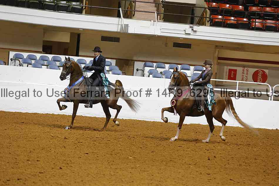 Proof 14r9_6295