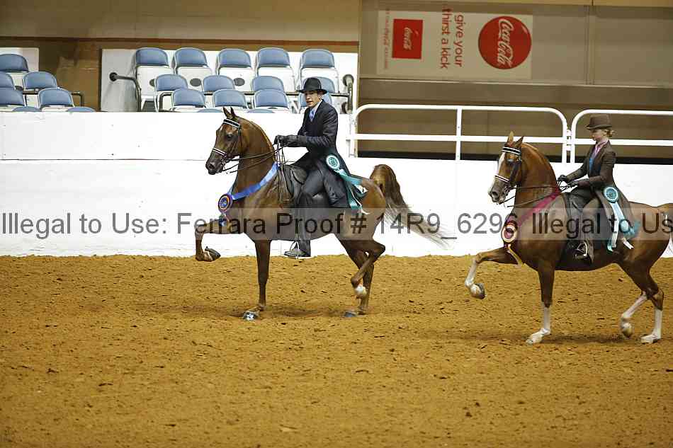 Proof 14r9_6296