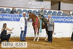 14r9_6351 proof