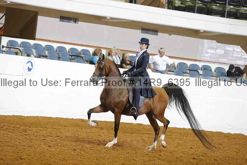 Proof 14r9_6395