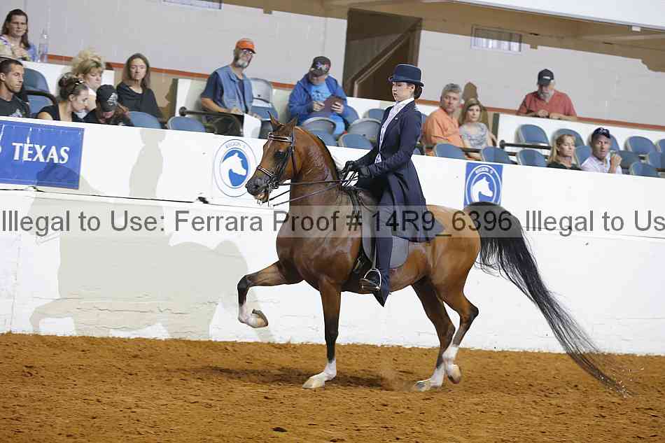 Proof 14r9_6396