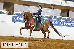 14r9_6407 proof